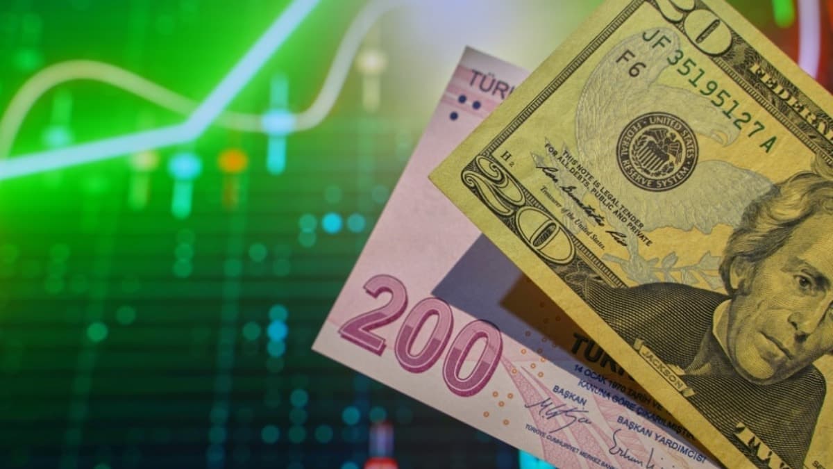 Dollar/Turkish Lira Exchange Rate Predictions Soar as 16 Institutions Revise Their Forecasts