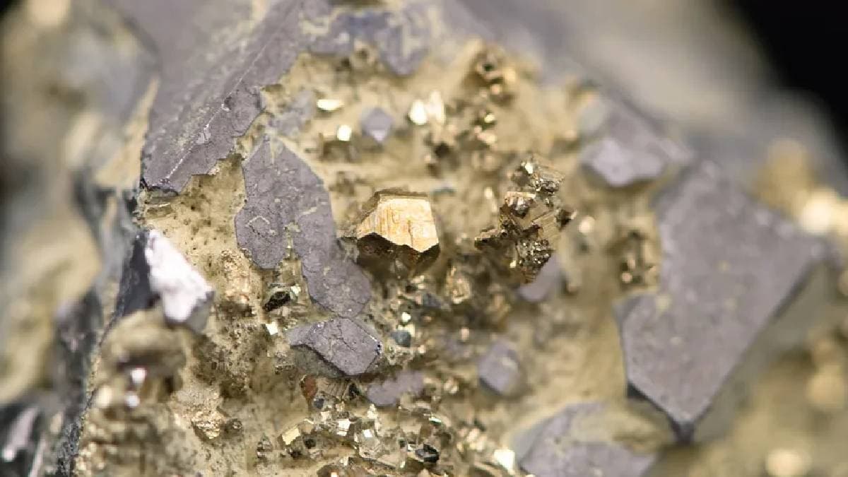 Global Gold Reserves: 99% Found in One Location