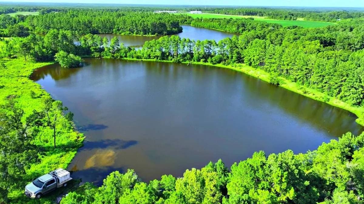 Transforming Fields: A Farmer's Remarkable Journey into Aquaculture