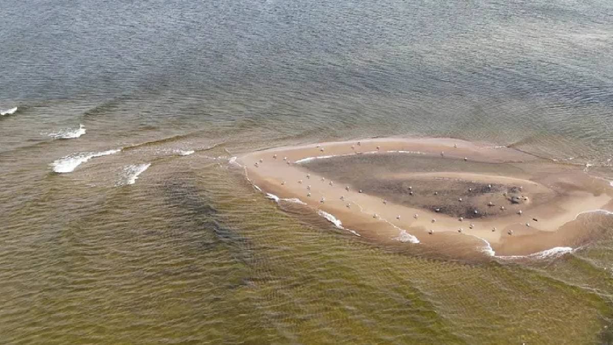 A New Island Emerges in the Ocean: Growing Day by Day