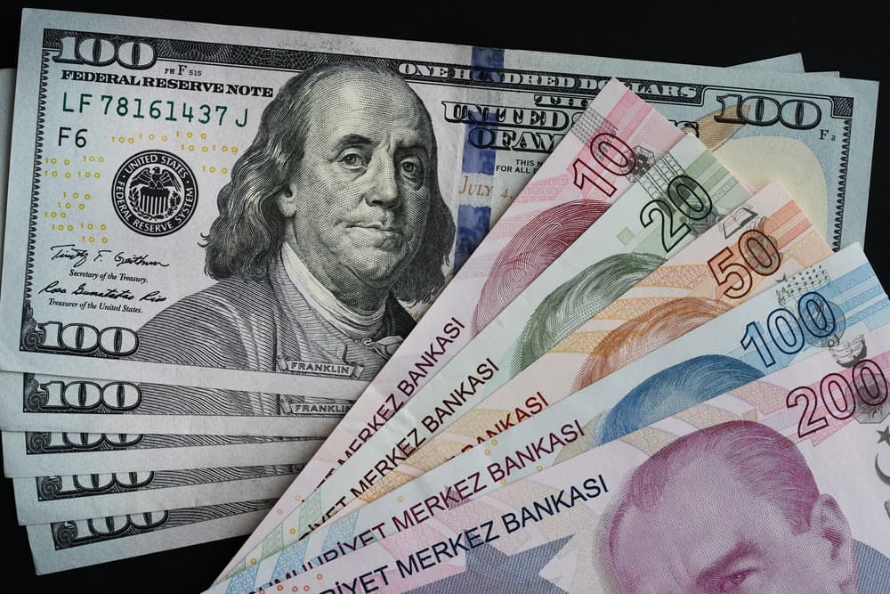 Türk Lirası Değer Kaybetmeye Devam Ediyor: Dolar ve Euro Tarihî Zirvelerde