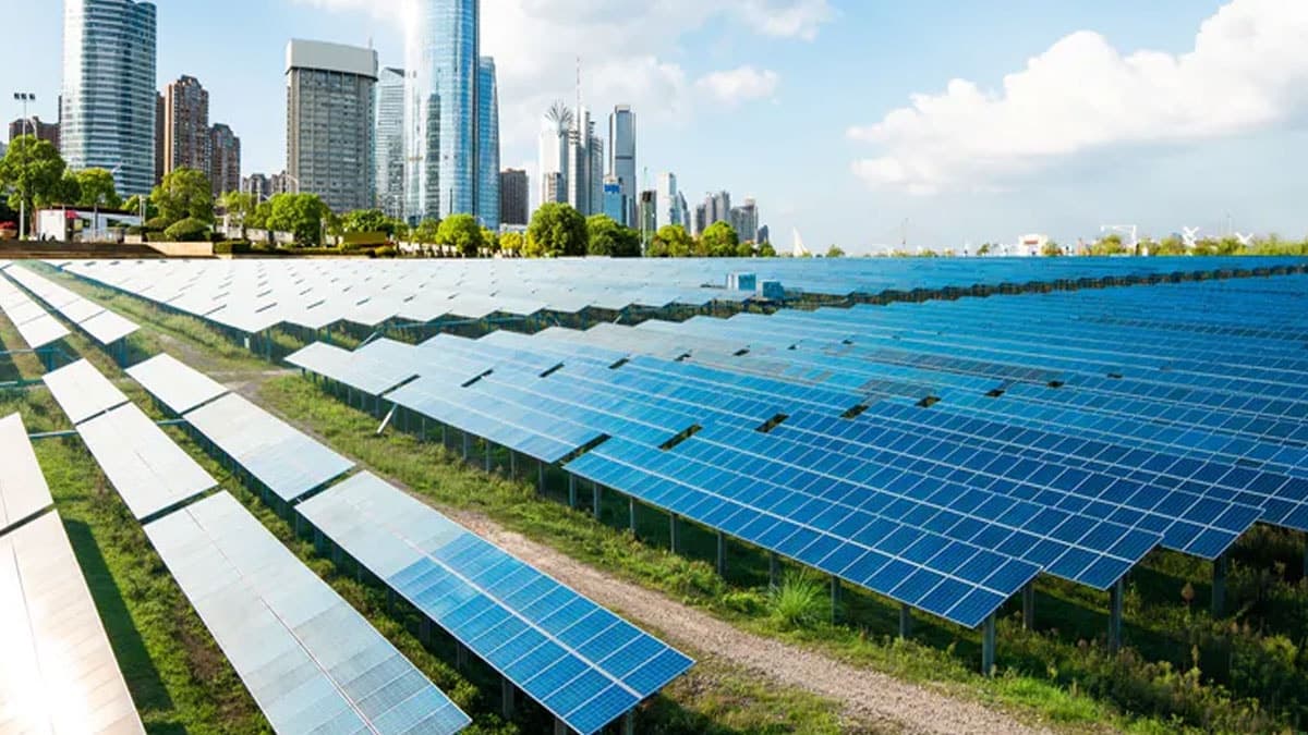 The Installation of Solar Panels Leads to Unforeseen Disasters