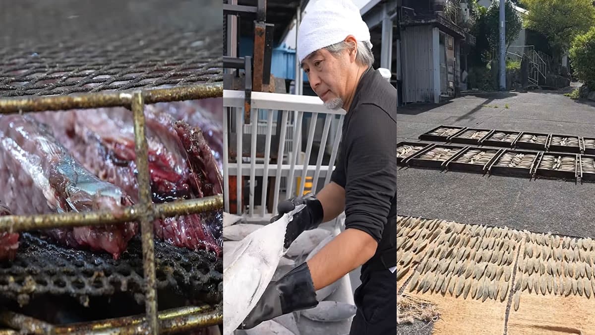 Japanese Tradition: Enjoying Mackerel without a Knife