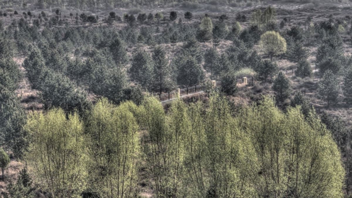 A Miraculous Discovery: $5,000 Left in the Desert Found 27 Years Later