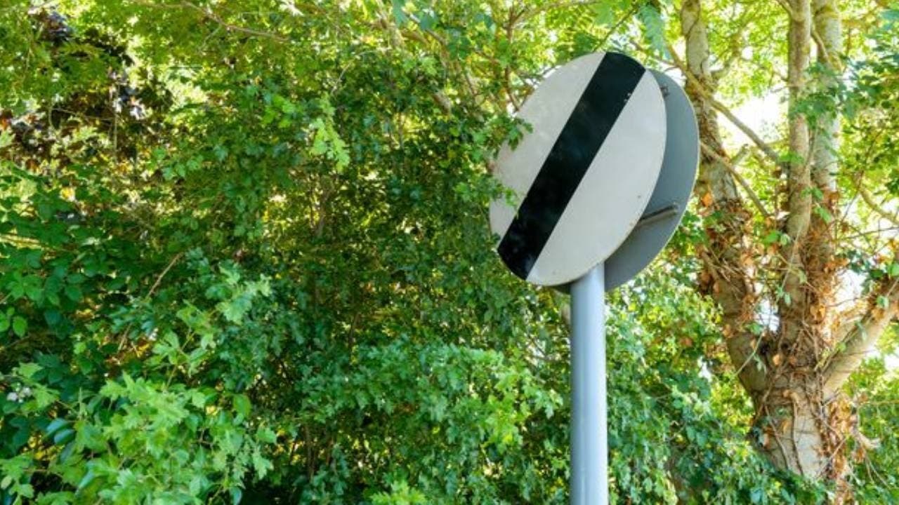 Confusion Surrounds Traffic Sign: Even Experienced Drivers Misinterpret Its Meaning